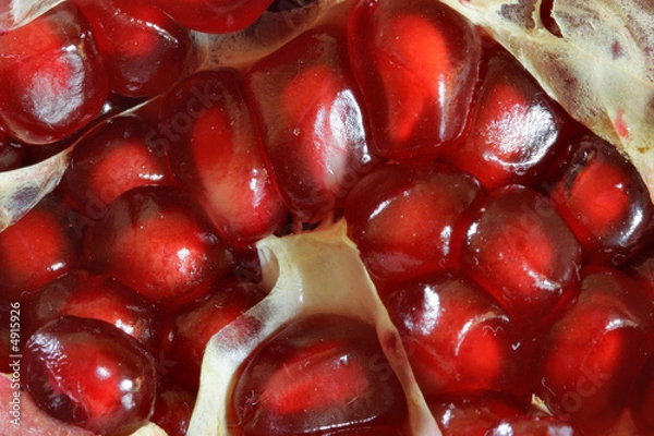 Obraz Grains of pomegranate macro