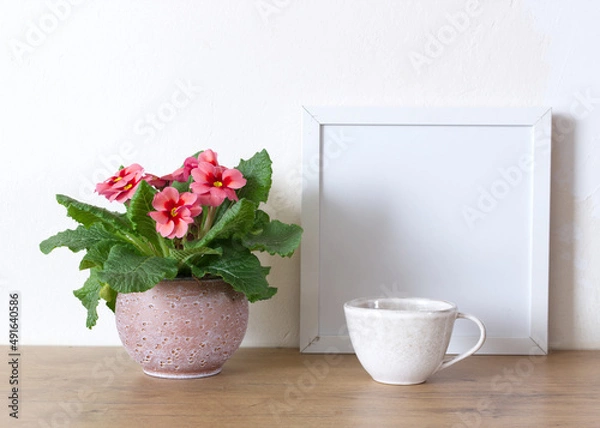 Obraz Spring still life. Blank white picture frame mockup on wooden table.Blooming spring pink flower primrose in a pot. Whitewall background. Nature concept.