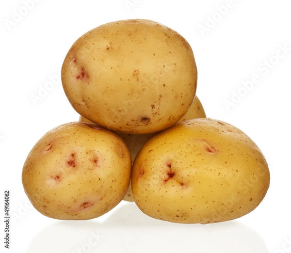 Obraz Yellow potatoes