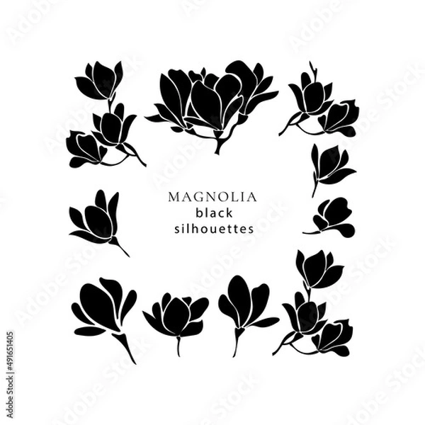 Obraz Set with black silhouettes of blooming magnolia twigs.