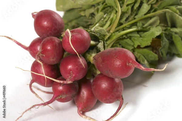 Fototapeta radish