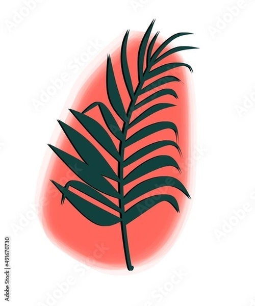 Obraz leaf isolated on white