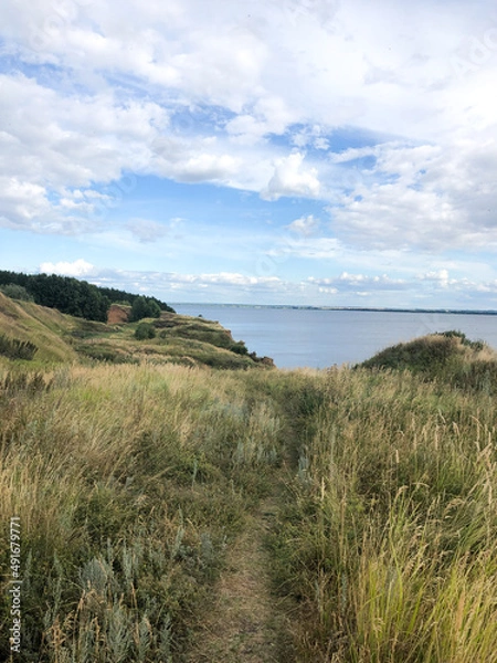 Fototapeta Beautiful summer nature landscape of green field with grass and sea view. High grass landscape nature view. 