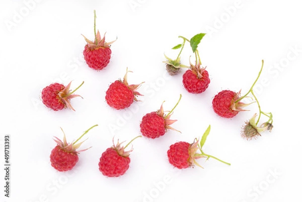 Fototapeta a variety of raspberries form, ripeness, leaves scattered on the surface on a white background - summer backdrop