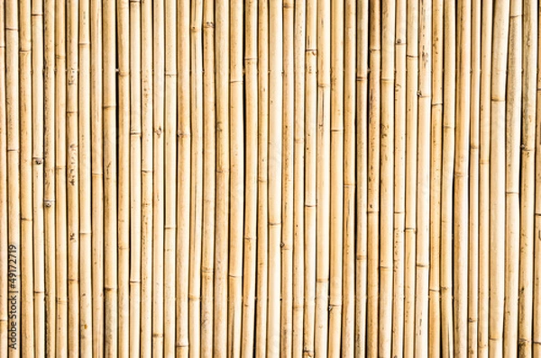 Fototapeta bamboo