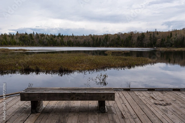 Fototapeta In spring, bench on the edge of the marsh and lake Boivin in the natural park of Mont-Belair, Quebec city.