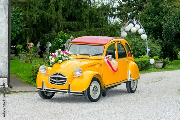 Obraz funny wedding car