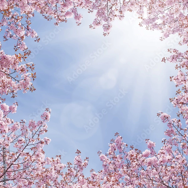 Obraz Cherry Fantasy