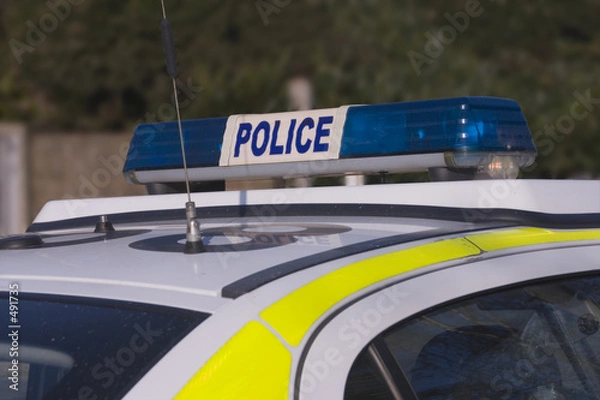 Obraz światła policyjne