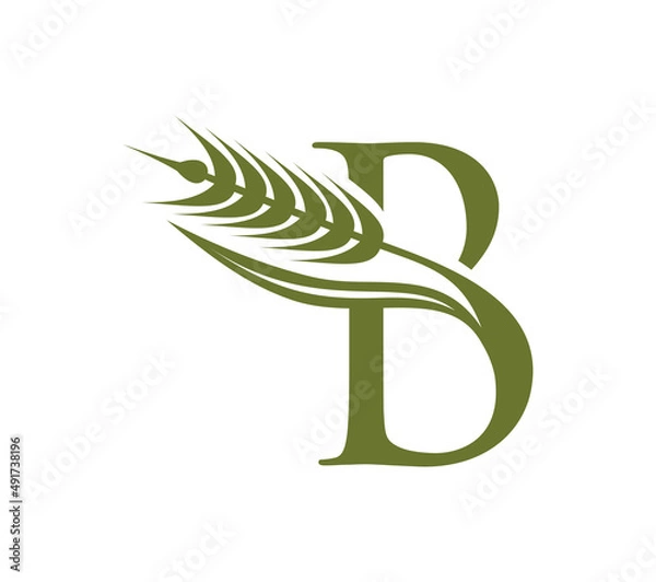 Obraz Wheat Grain Monogram Initial Logo Letter B