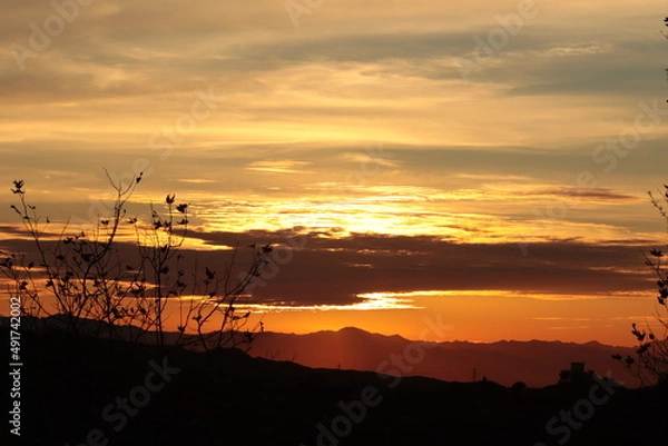 Fototapeta Bright red flaming sunset and sun on the background of trees
