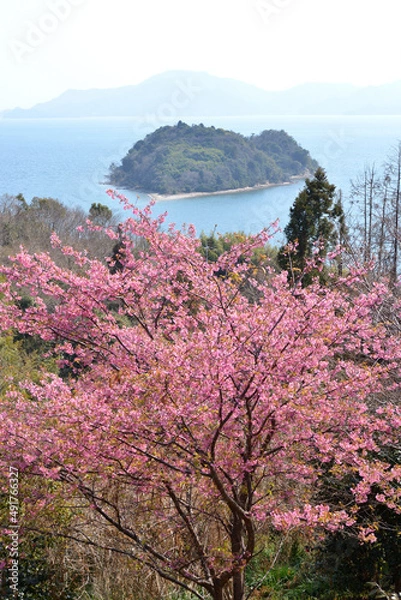 Fototapeta ハート島と河津桜