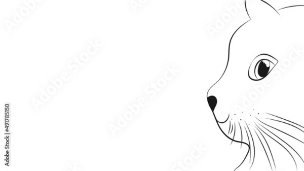 Fototapeta Hand drawn outline cat. Side face. Black and white vector art. Vector illustration.
