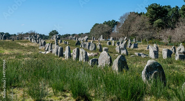 Fototapeta Carnac, France; February 26, 2022: Alignment of Neolithic menhirs of Ménec, a site located in Morbihan in Brittany, the town is known for its alignments of 2,934 menhirs.