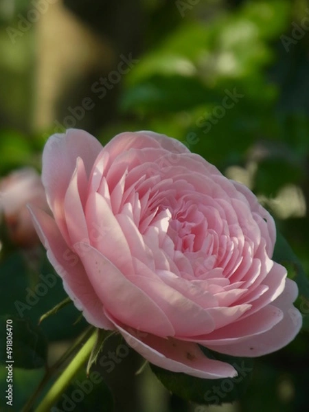 Fototapeta Exif_JPEG_PICTURE