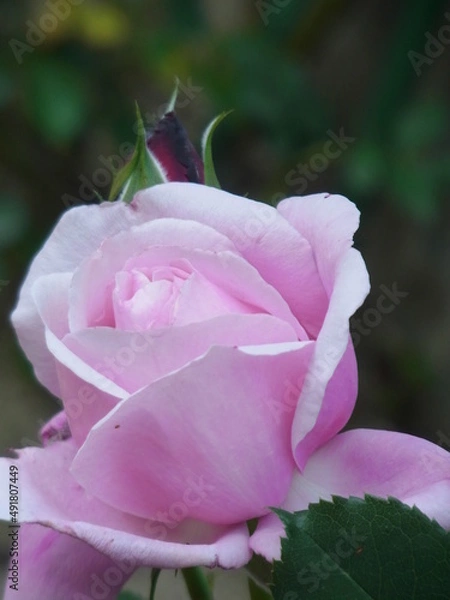 Fototapeta Exif_JPEG_PICTURE