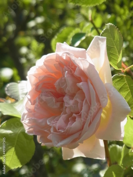 Fototapeta Exif_JPEG_PICTURE