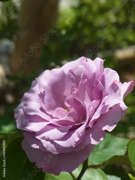 Fototapeta Exif_JPEG_PICTURE