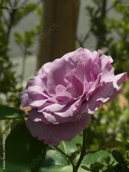 Fototapeta Exif_JPEG_PICTURE