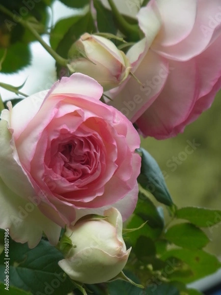 Fototapeta Exif_JPEG_PICTURE