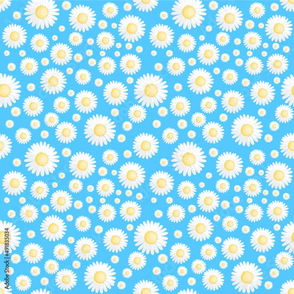 Fototapeta littile daisy Seamless pattern on blue background  cute floral pattern vector  