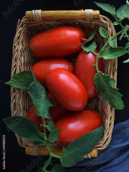 Obraz Ripe tomatoes in a wicker basket.Vegetarian food.