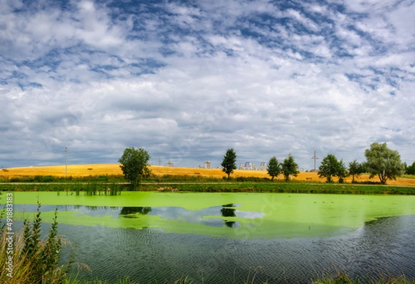 Obraz landscape with lake and trees   green water blooming water