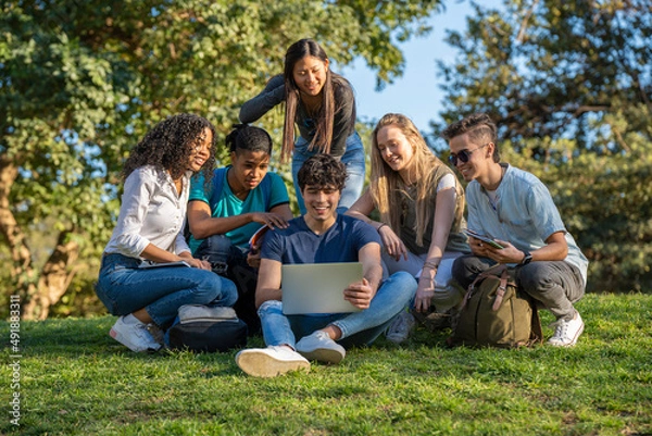 Obraz Group of teenage friends looking at laptop in the park on green grass