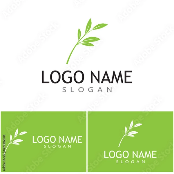 Fototapeta Leaf icon Vector Illustration design Logo template