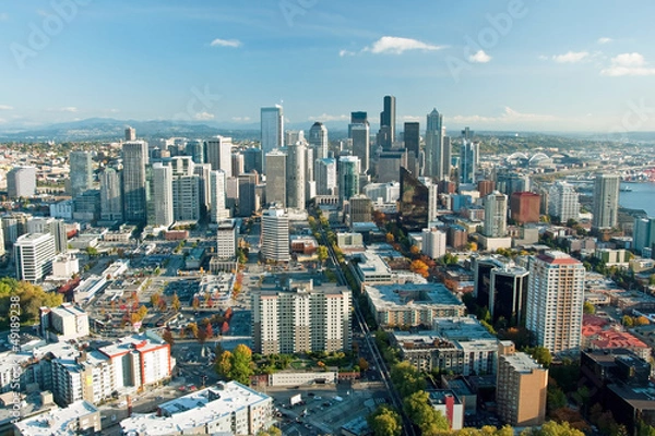 Fototapeta Seattle downtown skyline with view of Mt.Rainier in distance
