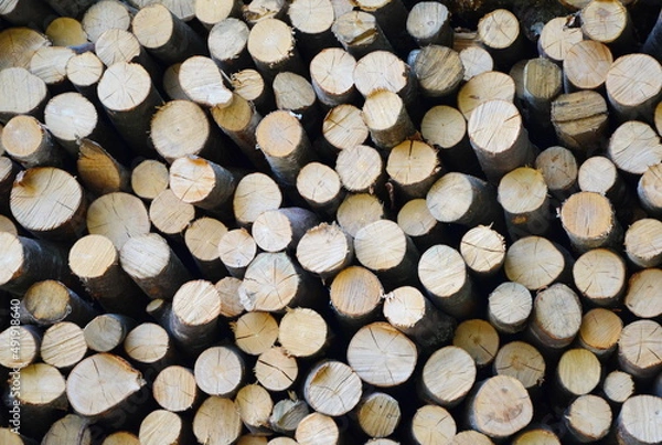 Fototapeta stack of firewood. sawn tree. wood background. Surface. Construction Materials