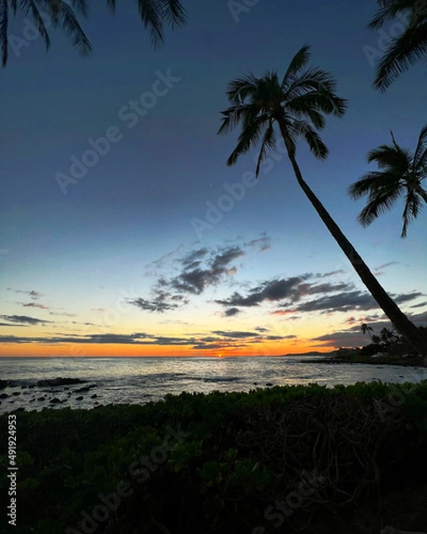 Fototapeta Colorful sunset with palm trees