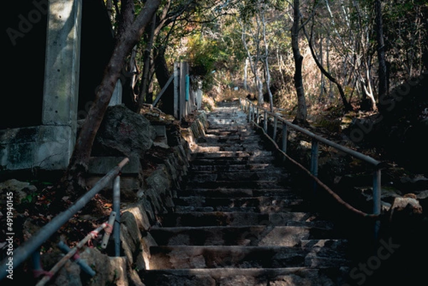 Obraz 最上稲荷/奥の院