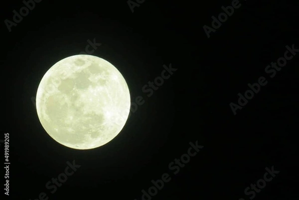 Fototapeta 満月