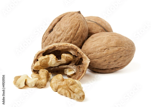 Obraz walnuts