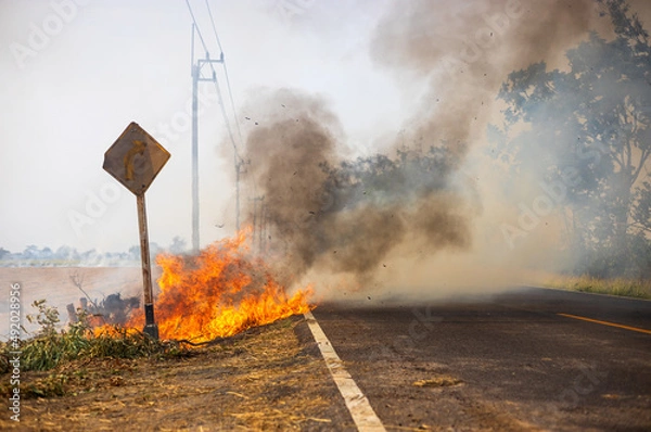 Fototapeta Views of blazes, burning hay, producing black clouds of black smoke.