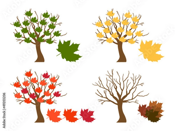 Obraz Autumn