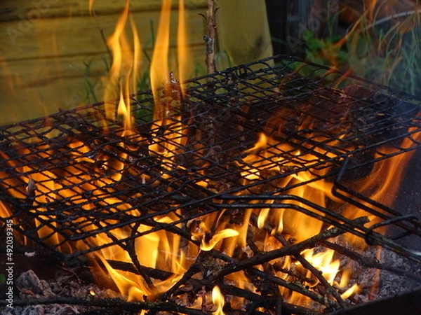 Obraz fire in a fireplace