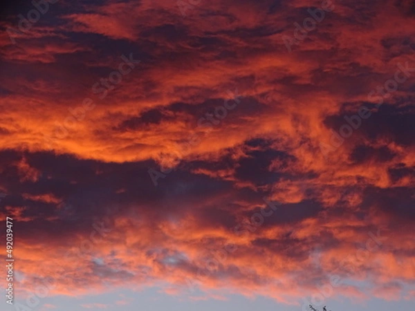 Obraz red sky at sunset