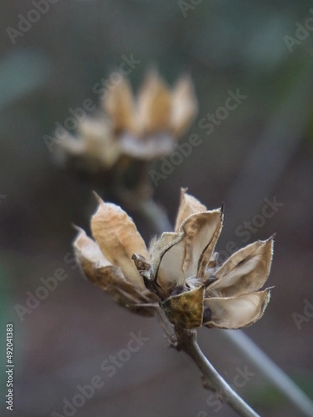 Obraz Exif_JPEG_PICTURE