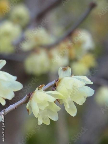 Obraz Exif_JPEG_PICTURE