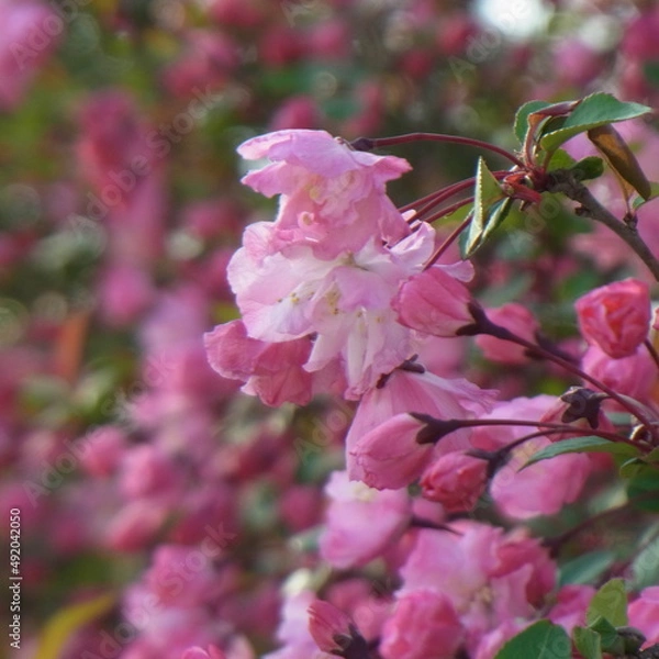 Obraz Exif_JPEG_PICTURE