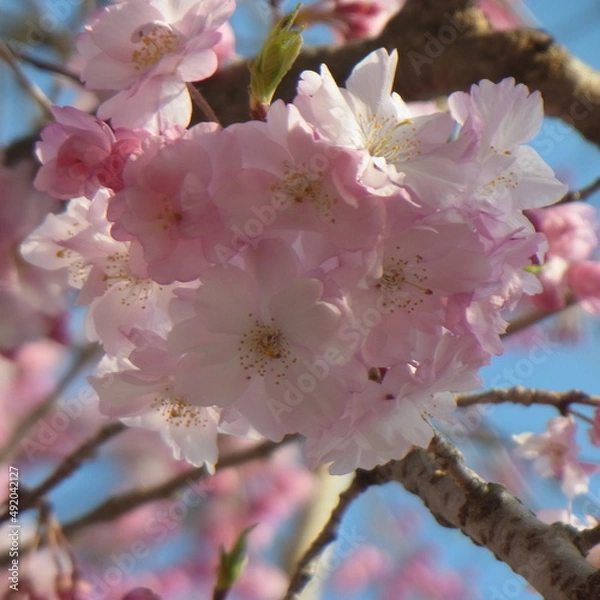 Obraz Exif_JPEG_PICTURE