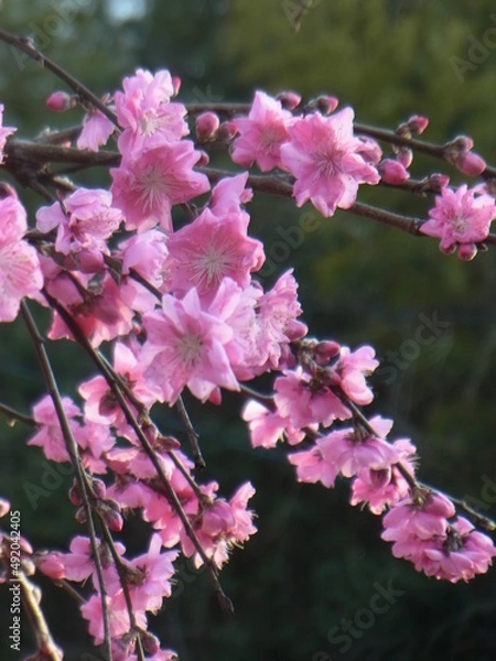 Obraz Exif_JPEG_PICTURE