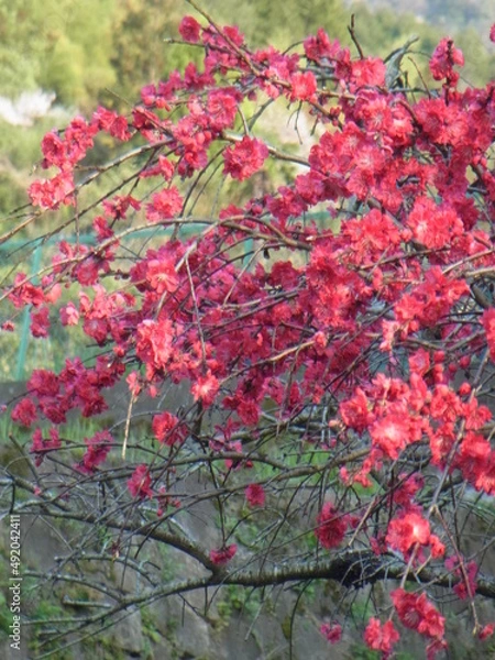 Obraz Exif_JPEG_PICTURE