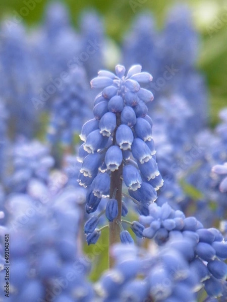 Obraz Exif_JPEG_PICTURE