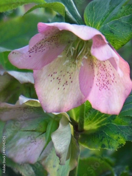 Obraz Exif_JPEG_PICTURE