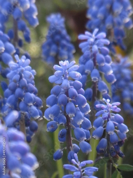 Obraz Exif_JPEG_PICTURE