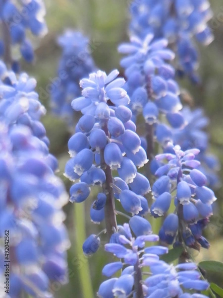 Obraz Exif_JPEG_PICTURE