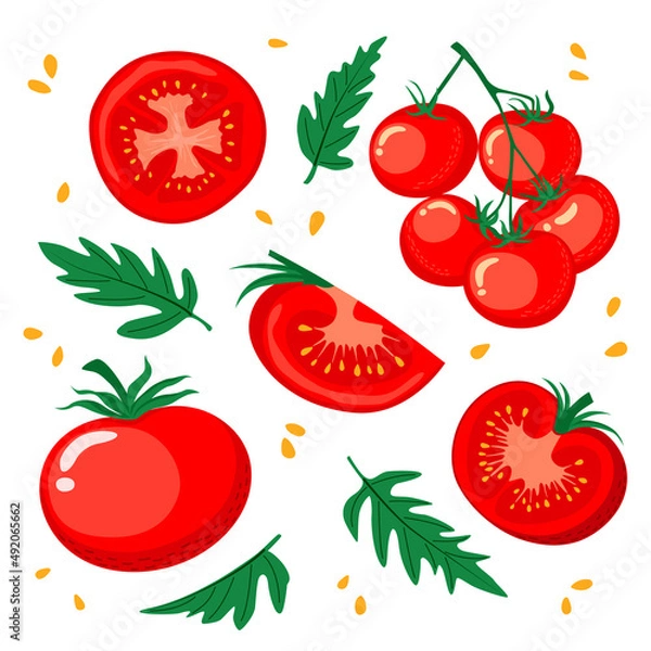 Fototapeta Set of tomatoes with whole vegetables, a bunch of tomatoes, half, seeds and leaves. Vector illustration in a flat style on a white background.